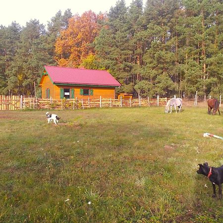 Agroturystyka Polana Harmonii Przytoczna Zewnętrze zdjęcie